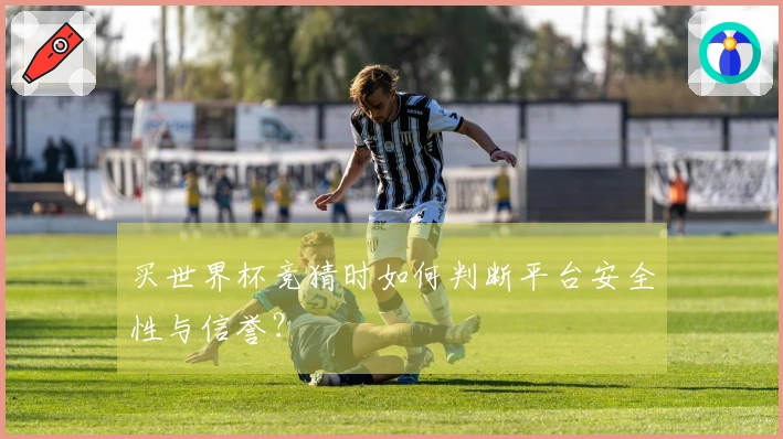买世界杯竞猜时如何判断平台安全性与信誉？