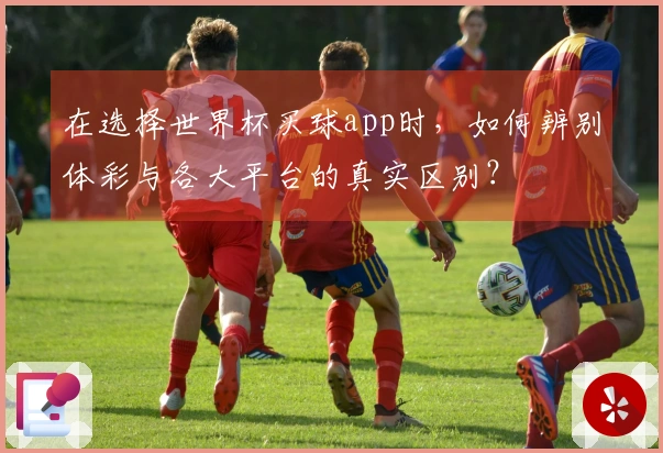 在选择世界杯买球app时,如何辨别体彩与各大平台的真实区别?