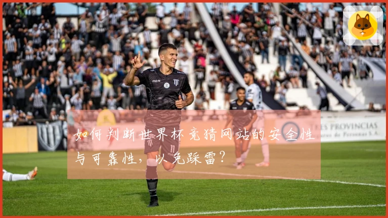 如何判断世界杯竞猜网站的安全性与可靠性，以免踩雷？