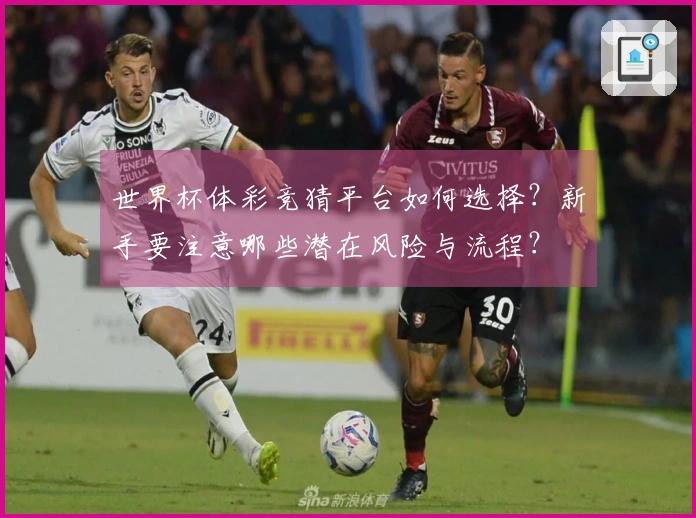 世界杯体彩竞猜平台如何选择？新手要注意哪些潜在风险与流程？