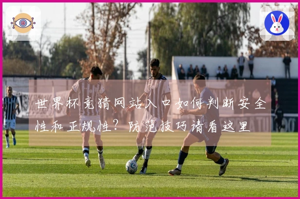 世界杯竞猜网站入口如何判断安全性和正规性？防范技巧请看这里