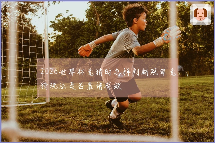 2026世界杯竞猜时怎样判断冠军竞猜玩法是否靠谱有效