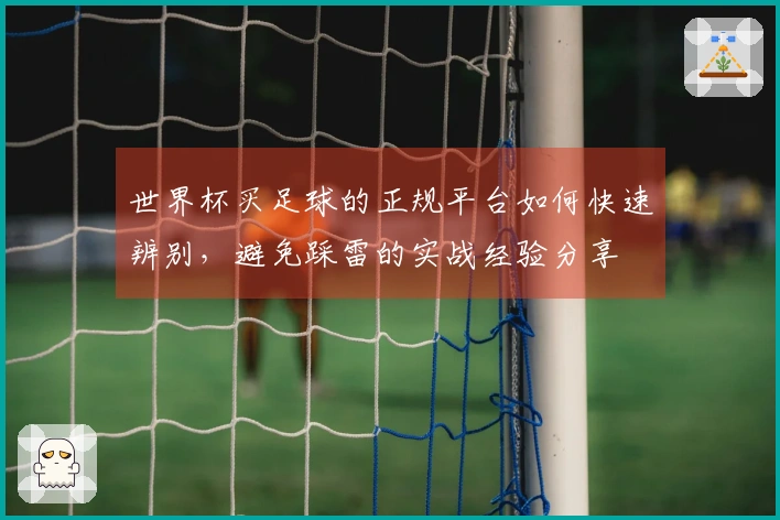 世界杯买足球的正规平台如何快速辨别，避免踩雷的实战经验分享