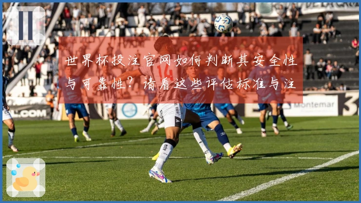 世界杯投注官网如何判断其安全性与可靠性？请看这些评估标准与注意事项