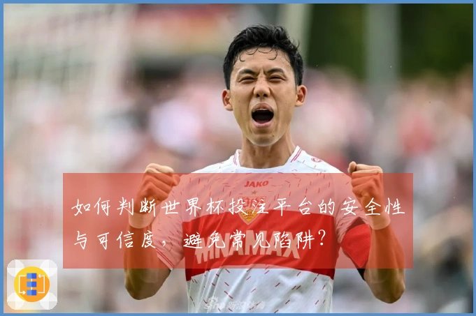 如何判断世界杯投注平台的安全性与可信度，避免常见陷阱？