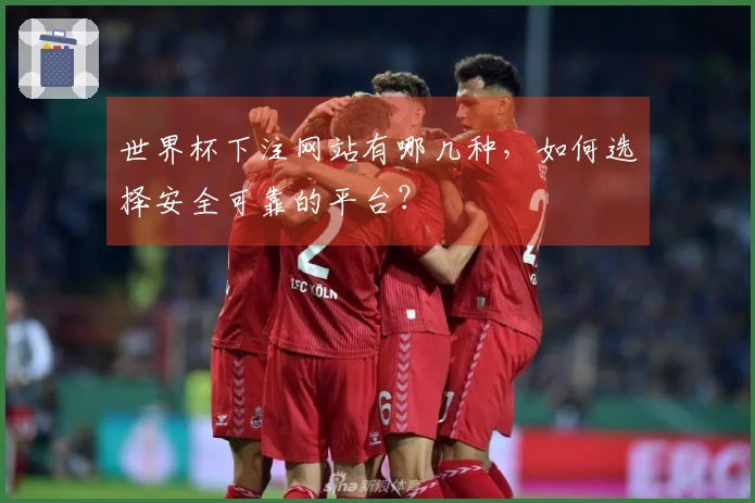 世界杯下注网站有哪几种，如何选择安全可靠的平台？