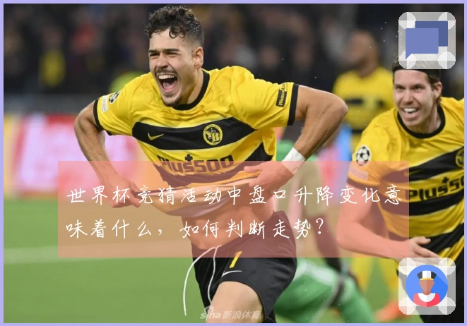 世界杯竞猜活动中盘口升降变化意味着什么，如何判断走势？