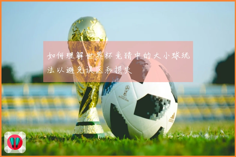 如何理解世界杯竞猜中的大小球玩法以避免误区和损失