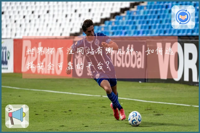 世界杯下注网站有哪几种，如何选择安全可靠的平台？