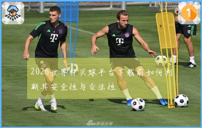 2026世界杯买球平台下载前如何判断其安全性与合法性