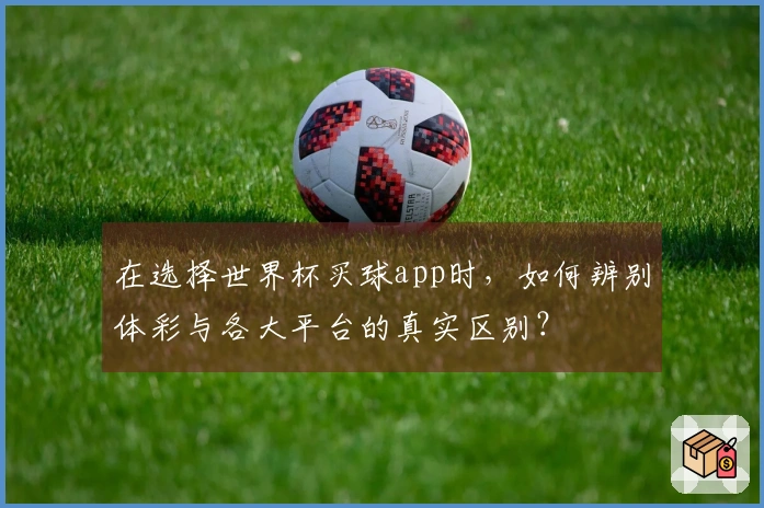 在选择世界杯买球app时，如何辨别体彩与各大平台的真实区别？