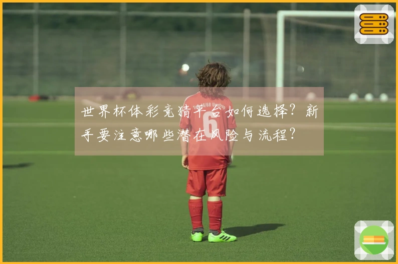世界杯体彩竞猜平台如何选择？新手要注意哪些潜在风险与流程？