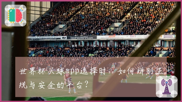 世界杯买球app选择时，如何辨别正规与安全的平台？