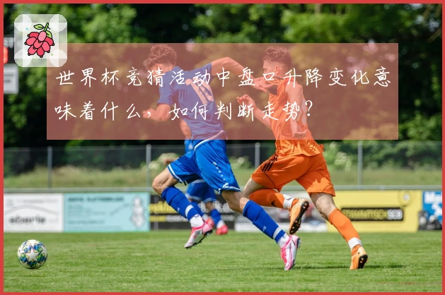 世界杯竞猜活动中盘口升降变化意味着什么，如何判断走势？