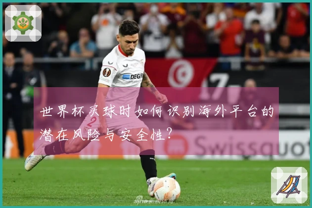 世界杯买球时如何识别海外平台的潜在风险与安全性？