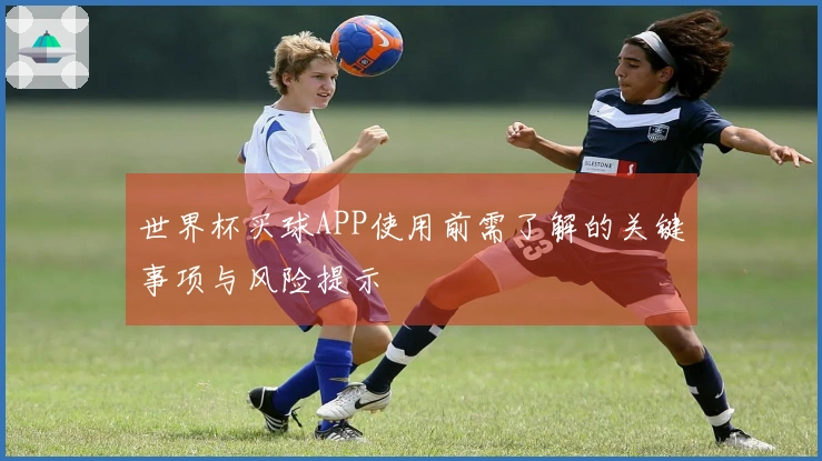 世界杯买球APP使用前需了解的关键事项与风险提示