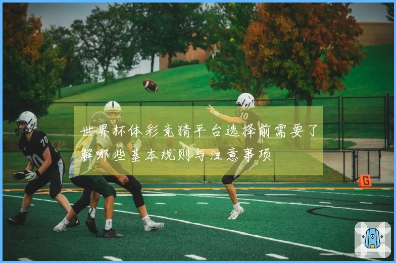 世界杯体彩竞猜平台选择前需要了解哪些基本规则与注意事项