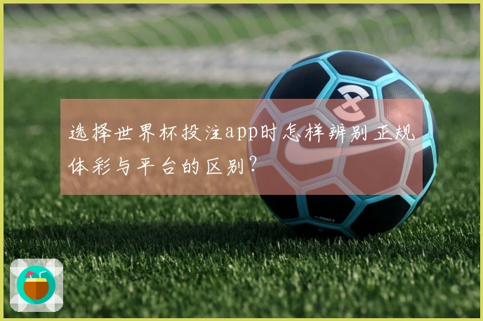 选择世界杯投注app时怎样辨别正规体彩与平台的区别?