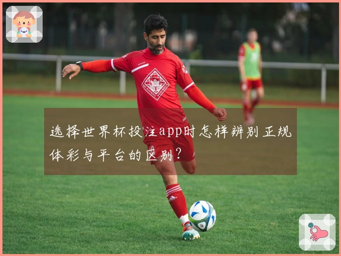 选择世界杯投注app时怎样辨别正规体彩与平台的区别？