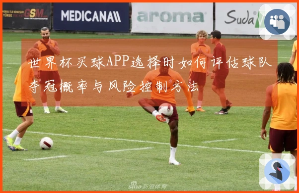 世界杯买球APP选择时如何评估球队夺冠概率与风险控制方法